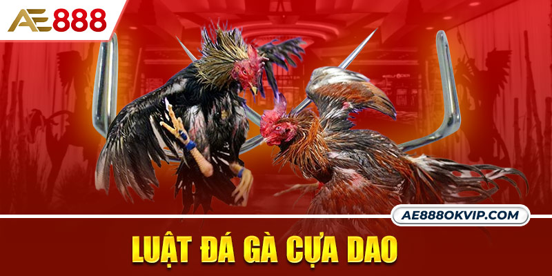 Quy định trong luật đá gà cựa dao