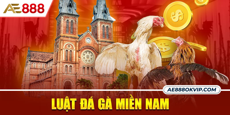 Luật chơi đá gà ở khu vực miền Nam