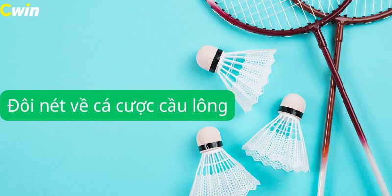 Tổng quan đôi nét cơ bản về cá cược cầu lông