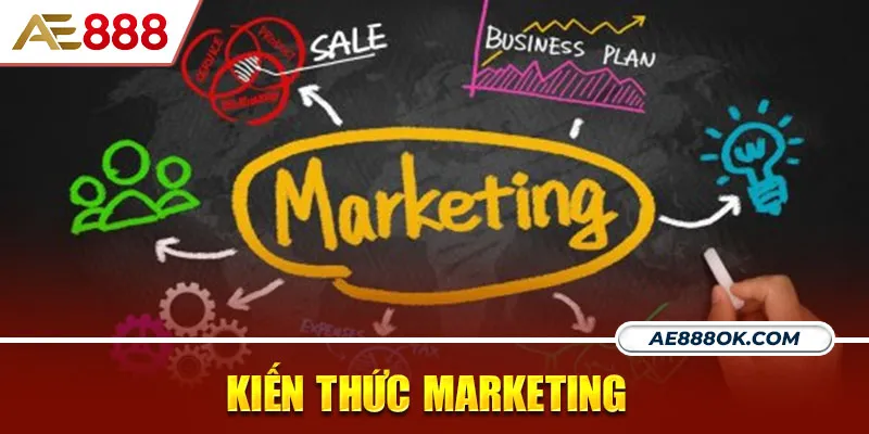 Am hiểu về marketing là một lợi thế rất lớn 